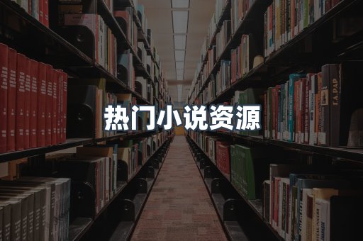 热门小说资源